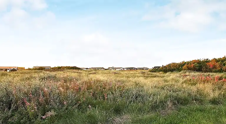 Holiday home in Thisted