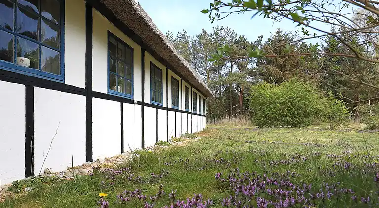 Holiday home on Læsø Municipality