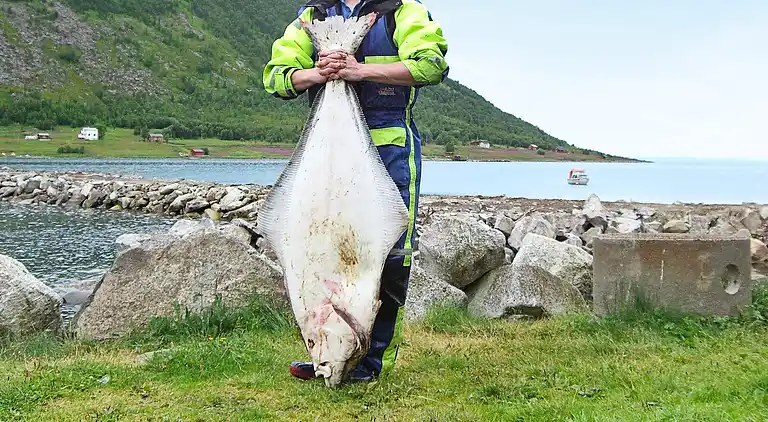 Holiday home in Sifjord