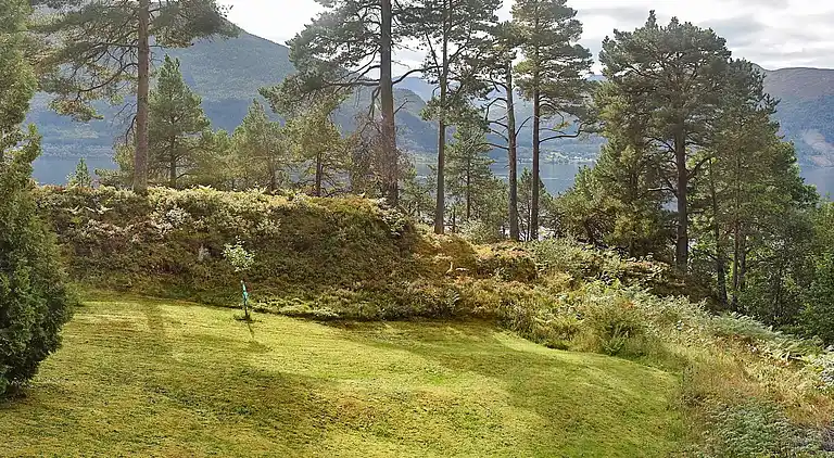 Vakantiehuis in Ranvik