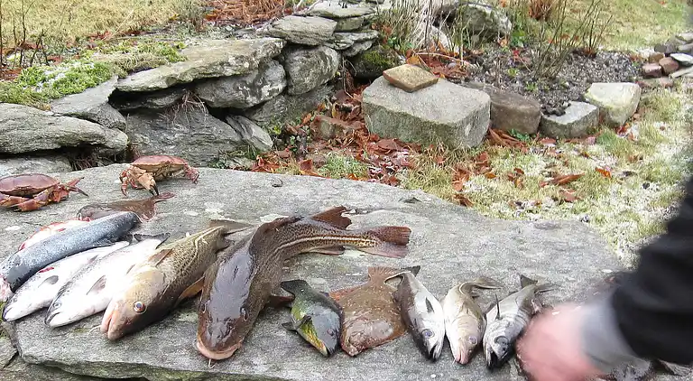 Holiday home in Tysvær