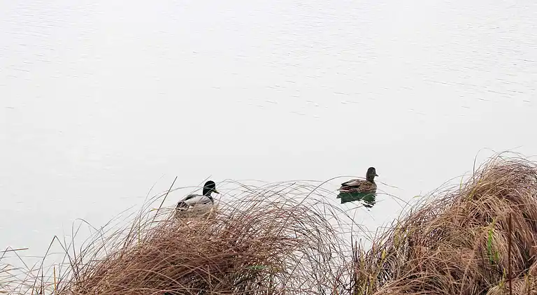 Sommerhus i Otterndorf