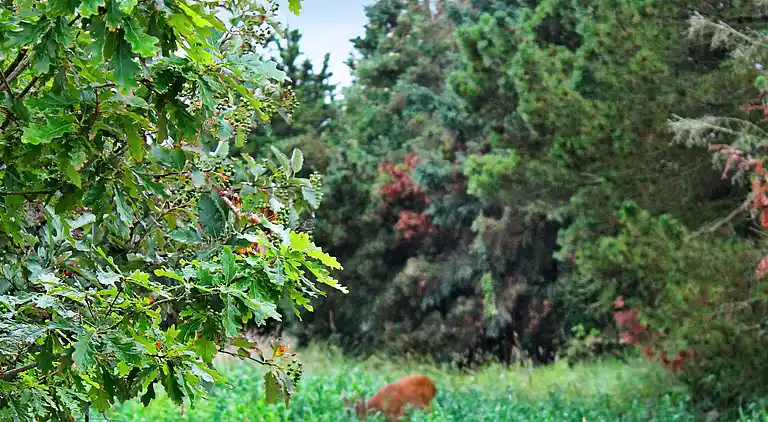 Semesterbostad i Toftum