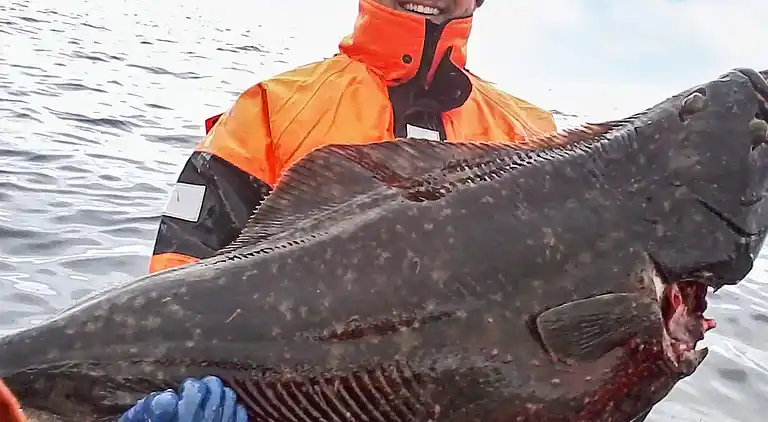 Holiday home in Sifjord
