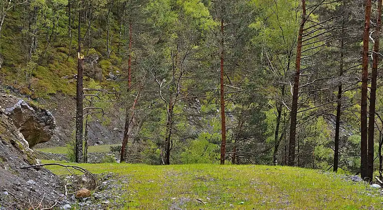 Holiday home in Tysvær