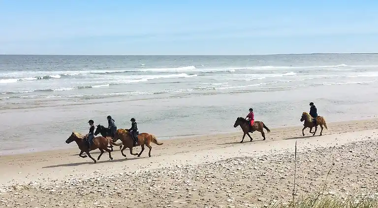 Holiday home in Hanstholm