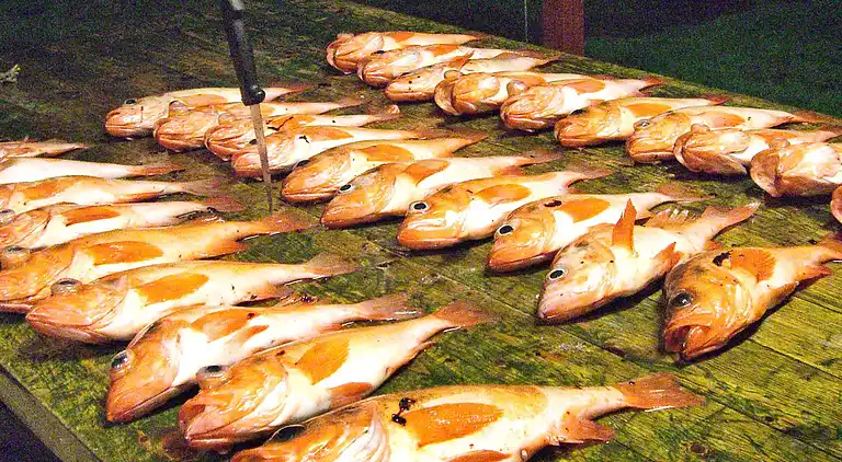 Holiday home in Sifjord