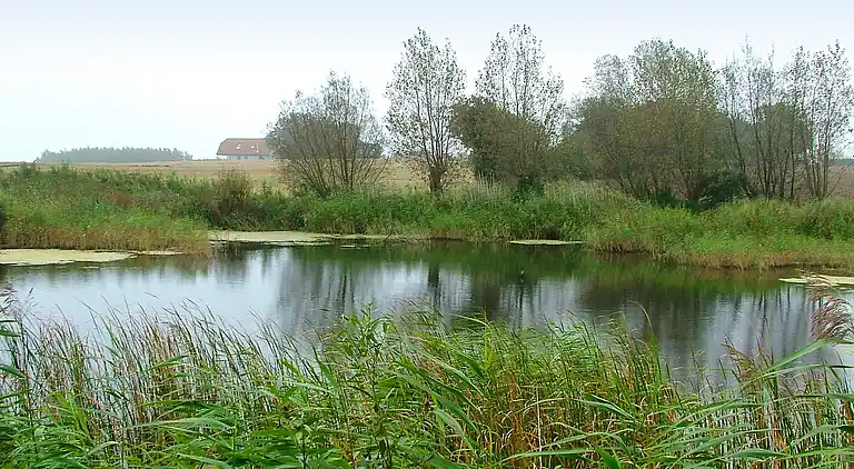 Holiday home in Humble
