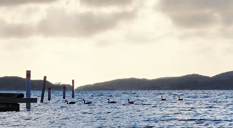 Holiday home in Orust Municipality