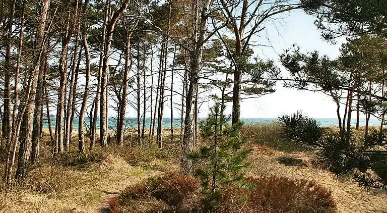 Casa vacanze in Balka Strand