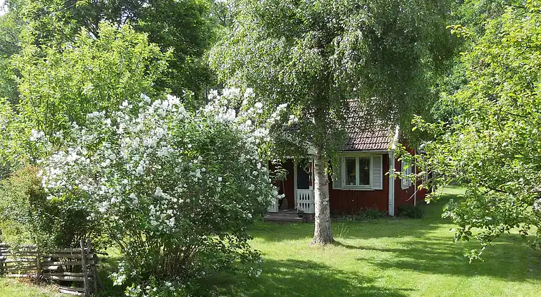 Ferienhaus in Torsås N