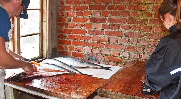 Holiday home in Gjøvåg