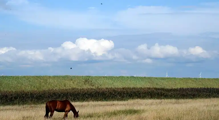 Holiday home in Harboøre