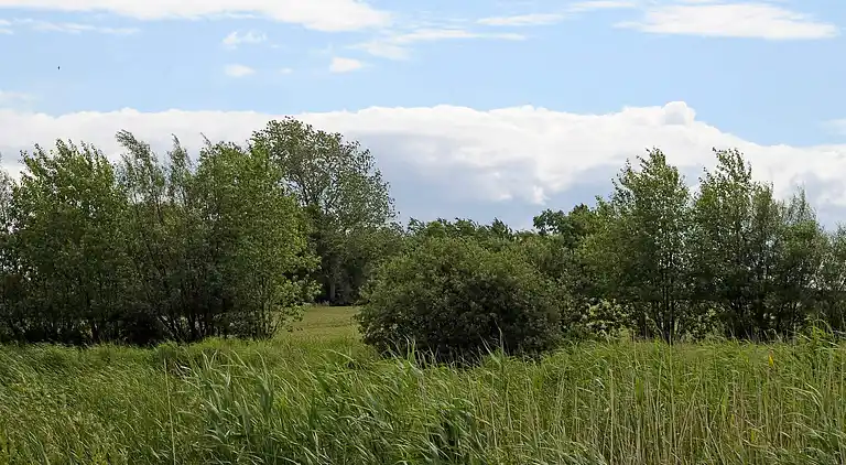Holiday home in Humble