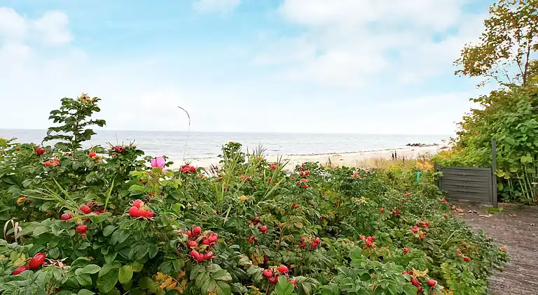 Vakantiehuis in Otterup