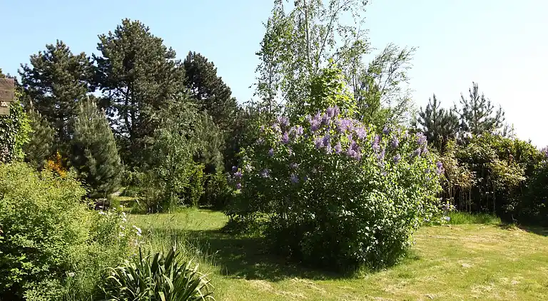 Sommerhus i Vordingborg