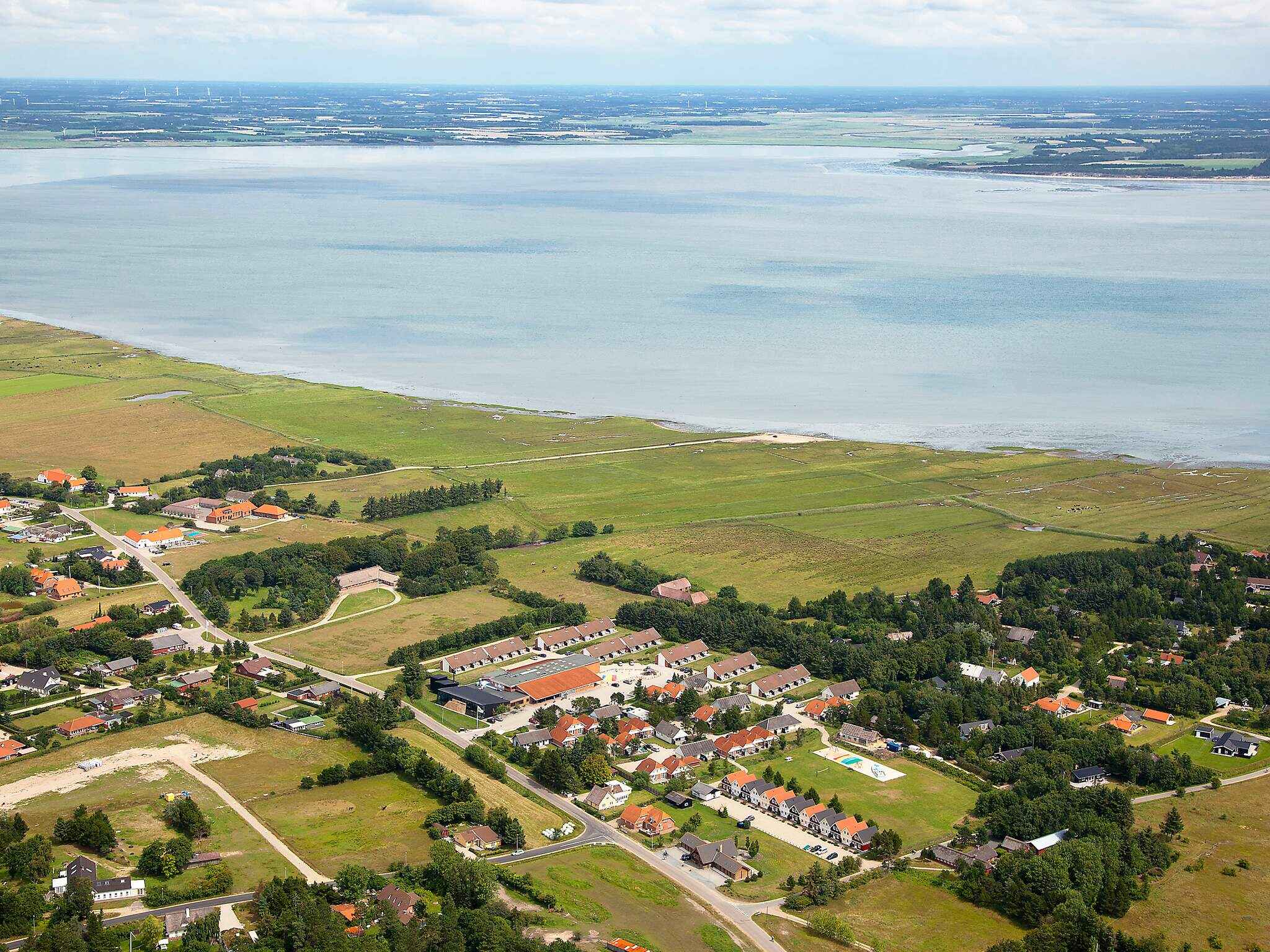 Large Image