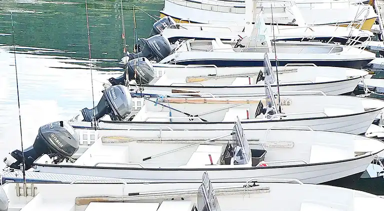 Feriebolig i Sørbøvågen