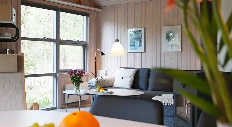 Holiday home in Fjerritslev