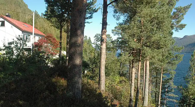 Vakantiehuis in Ranvik