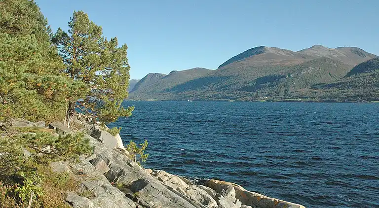 Vakantiehuis in Ranvik