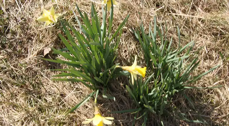 Holiday home in Fresvik