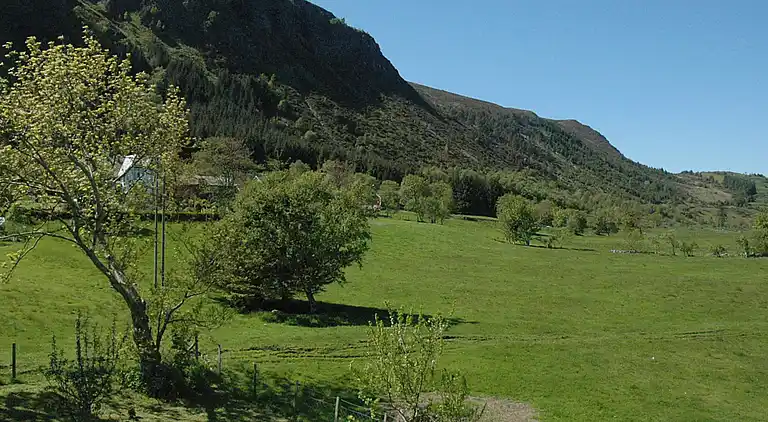 Semesterbostad i Haram