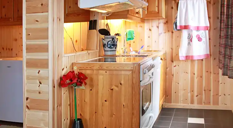 Feriebolig i Vestvågøy