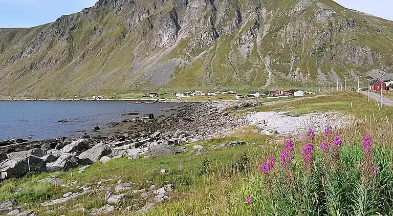 Casa vacanze in Vestvågøy