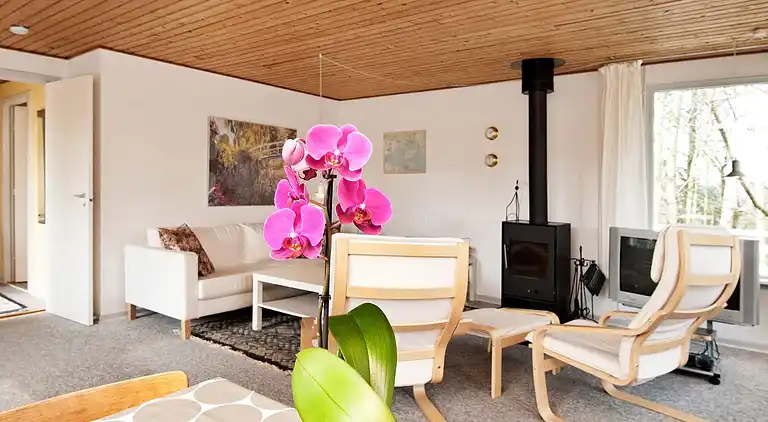 Semesterbostad i Odders