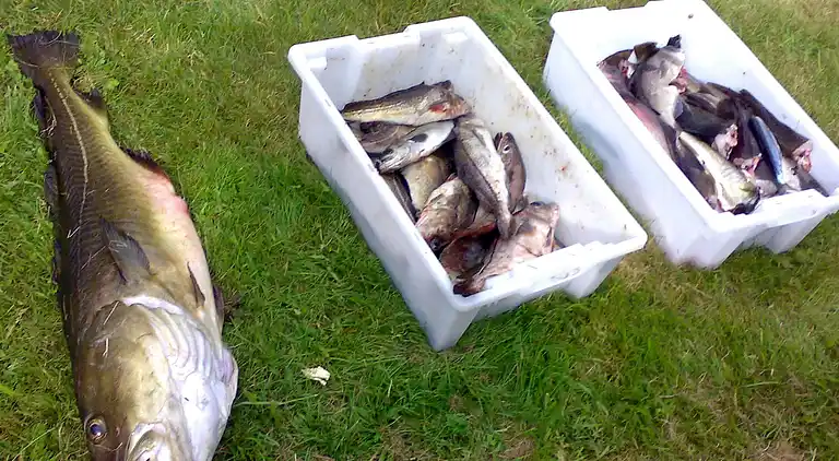 Holiday home in Vølset