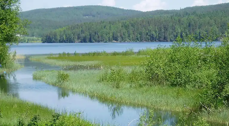 Maison de vacances en Arvika