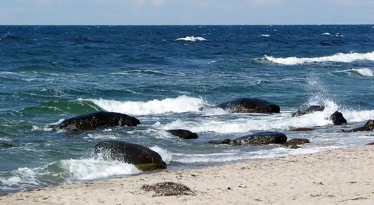 Holiday home in Hasle