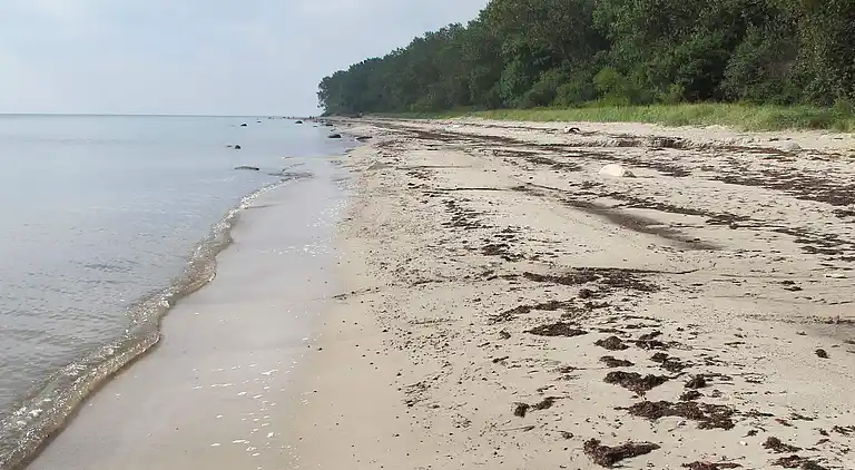 Sommerhus i Idestrup