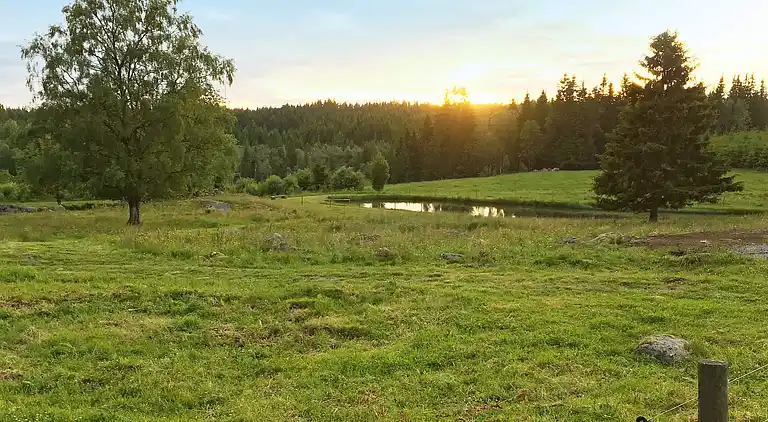 Sommerhus i Ulricehamn NO