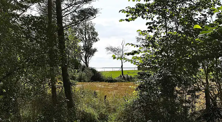 Semesterbostad i Øster Assels