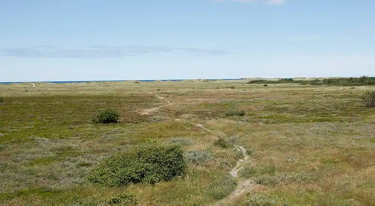 Holiday home in Skagen
