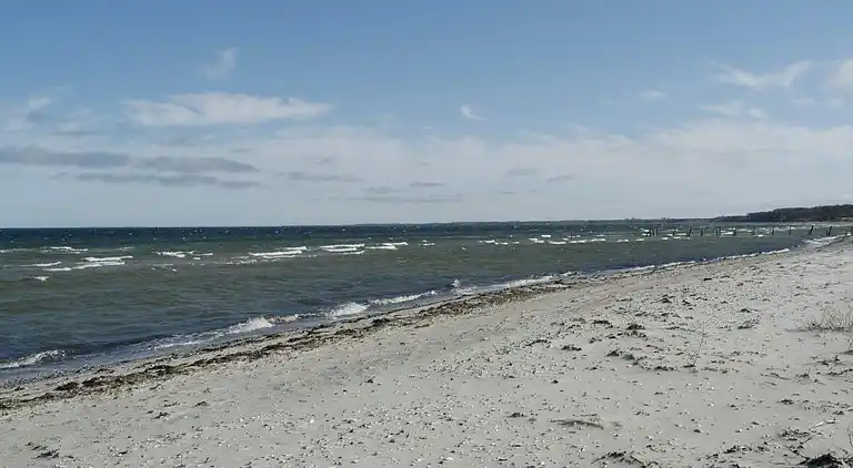 Holiday home in Vejlby Fed