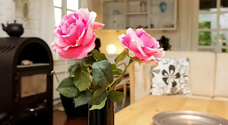 Casa vacanze in Læsø