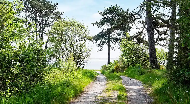 Maison de vacances au Knebel