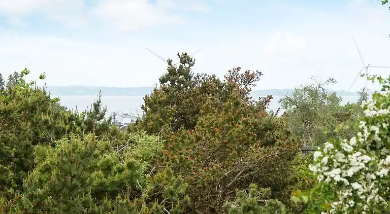 Sommerhus ved Øer Strand