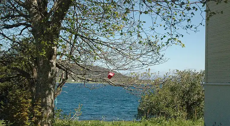 Semesterbostad i Haram