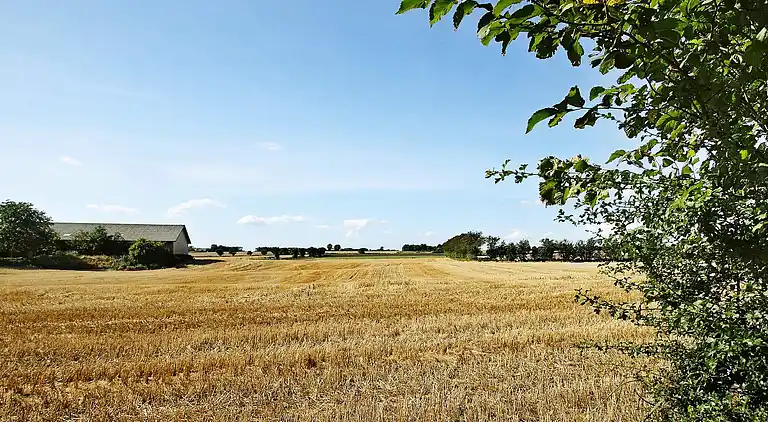 Semesterbostad i Øster Assels