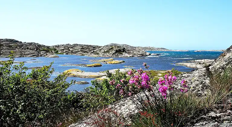 Holiday home in Björholmen