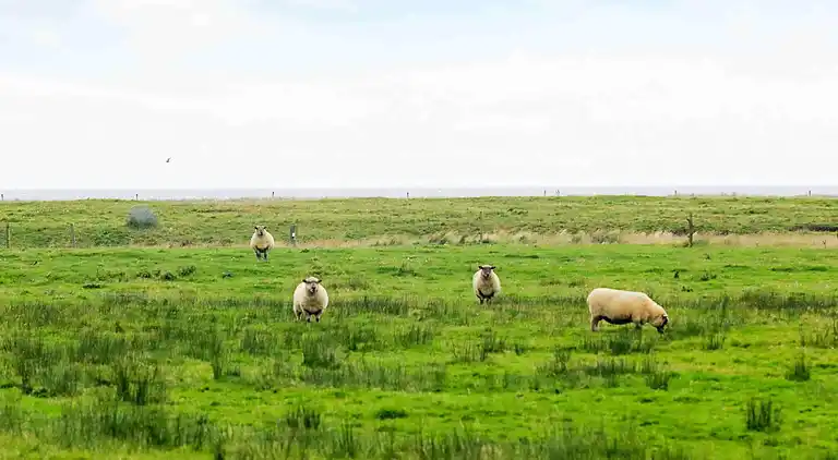 Casa vacanze in Vesløs
