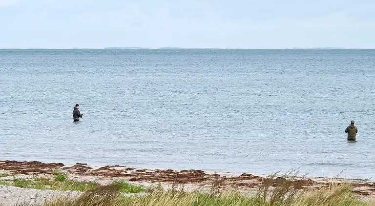 Holiday home in Stege