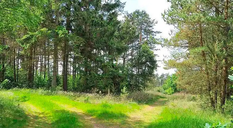 Holiday home in Fårvang