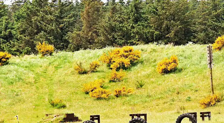 Holiday home in Brovst