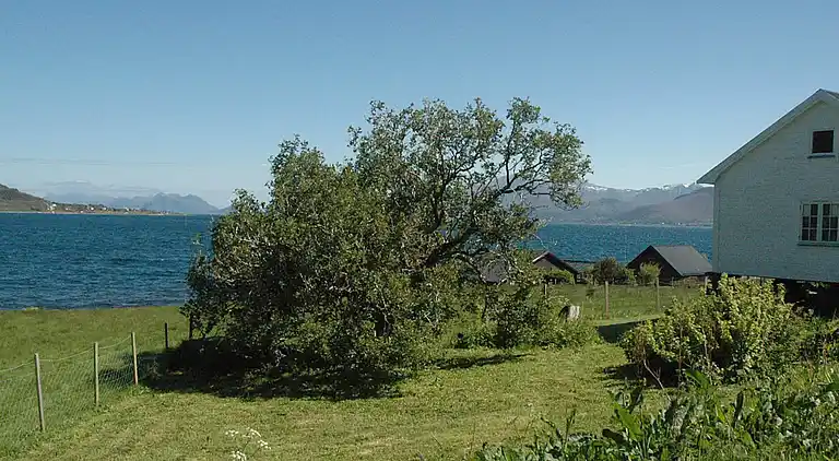 Semesterbostad i Haram