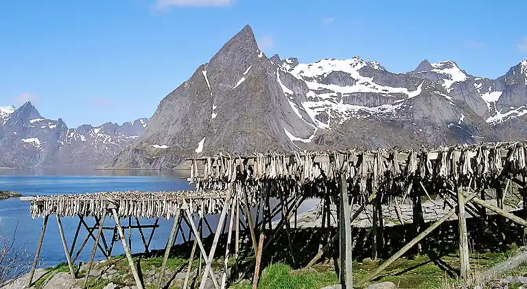 Casa vacanze in Vestvågøy